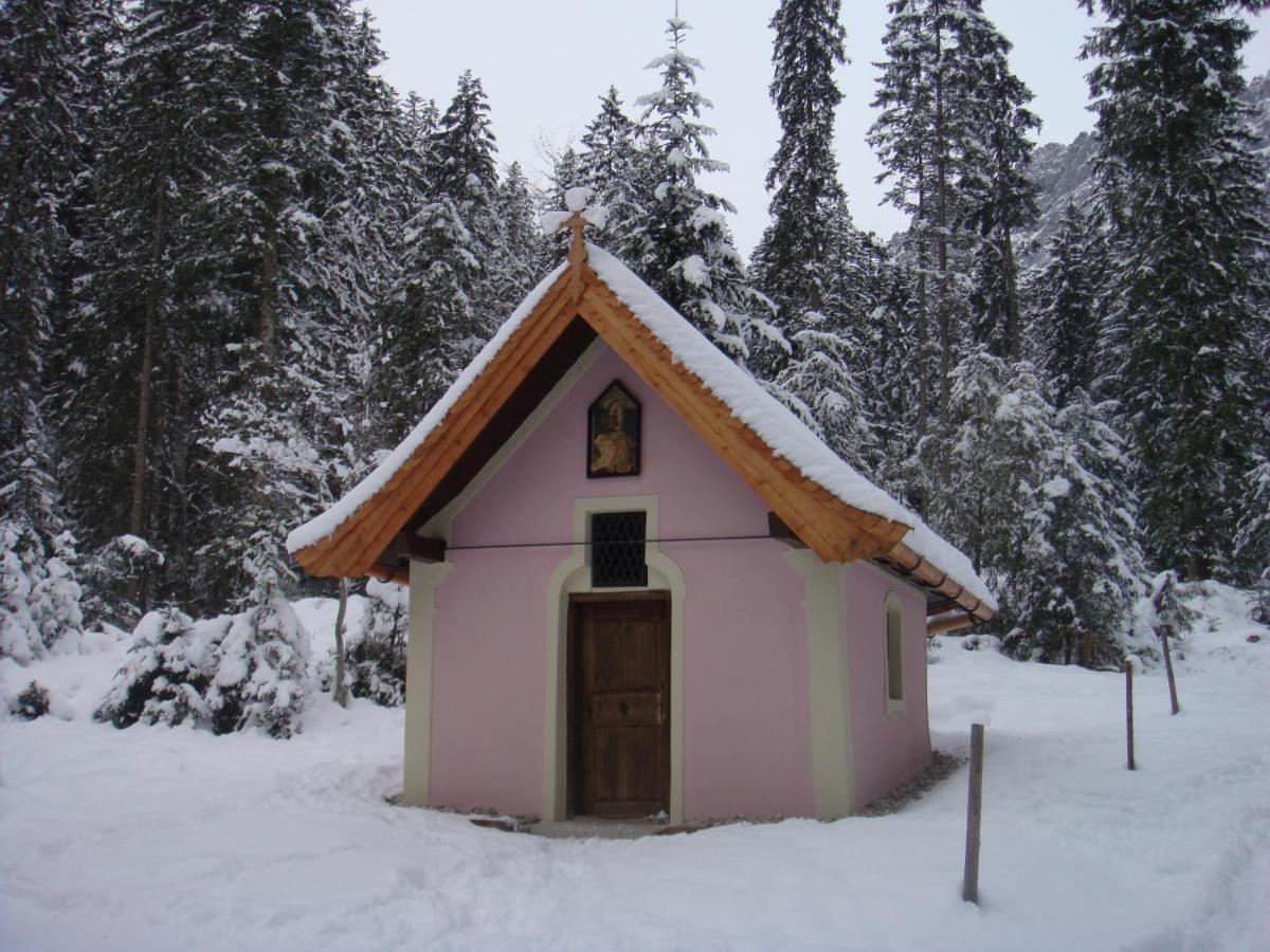 Otto Steiner Appartements Pension Ellmau & Wilder Kaiser Exterior photo